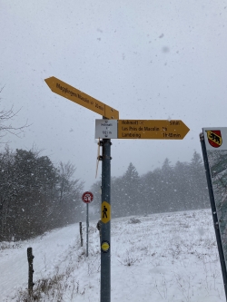 Schneefall