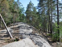 Waldspaziergang