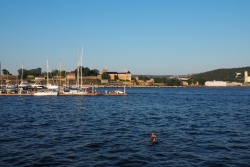 Meer