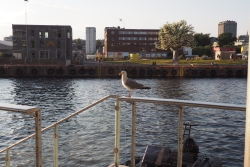 M&ouml;we